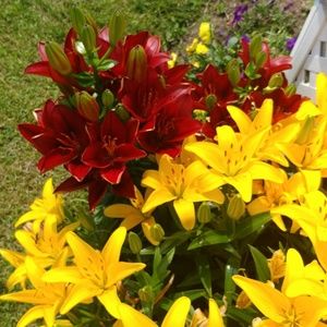 Meet your Posher, Rod